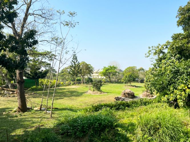 大丘園休閒農場